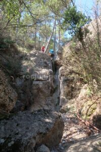 R12 - Rasa de Torrenteller - Sant Llorenç de Morunys - RocJumper