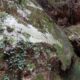 053 Barranc Sots Ferestecs Montmany Rocjumper