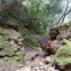 055 Barranc Sots Ferestecs Montmany Rocjumper