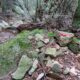 058 Barranc Sots Ferestecs Montmany Rocjumper