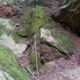 059 Barranc Sots Ferestecs Montmany Rocjumper