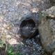 062 Barranco Rasa Torrenteller Sant Llorenc Morunys Rocjumper