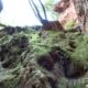 064 Barranc Sots Ferestecs Montmany Rocjumper