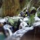 064 Barranco Buitreras Colmenar Rocjumper