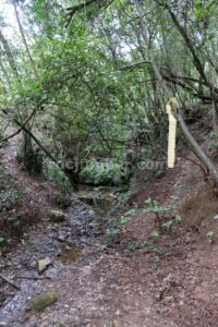 Enlace - Torrent de la Rovira - Barrancs Els Sots Feréstecs de Montmany - Montmany-Figaró - RocJumper