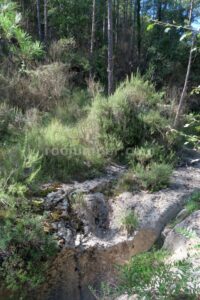 R15 - Rasa de Torrenteller - Sant Llorenç de Morunys - RocJumper