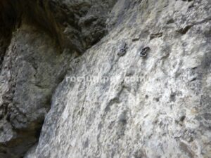 R6 - Barranc de Sant Aniol - Sadernes - RocJumper