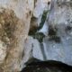 067 Barranco Rasa Torrenteller Sant Llorenc Morunys Rocjumper