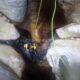 069 Barranco Buitreras Colmenar Rocjumper