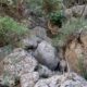 070 Barranco Rasa Torrenteller Sant Llorenc Morunys Rocjumper