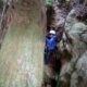 072 Barranc Sots Ferestecs Montmany Rocjumper