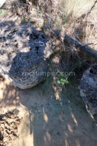 R17 - Rasa de Torrenteller - Sant Llorenç de Morunys - RocJumper
