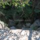 073 Barranco Rasa Torrenteller Sant Llorenc Morunys Rocjumper