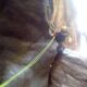075 Barranco Buitreras Colmenar Rocjumper