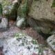 076 Barranco Rasa Torrenteller Sant Llorenc Morunys Rocjumper