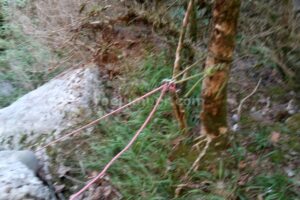 R19 - Rasa de Torrenteller - Sant Llorenç de Morunys - RocJumper