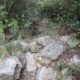081 Barranc Sots Ferestecs Montmany Rocjumper