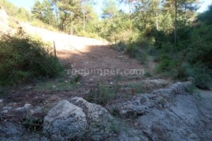 Pista - Rasa de Torrenteller - Sant Llorenç de Morunys - RocJumper