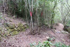 Enlace - Sot del Cal Pèl Roig - Barrancs Els Sots Feréstecs de Montmany - Montmany-Figaró - RocJumper