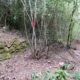 083 Barranc Sots Ferestecs Montmany Rocjumper