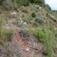 085 Barranc Sots Ferestecs Montmany Rocjumper