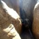 085 Barranco Buitreras Colmenar Rocjumper