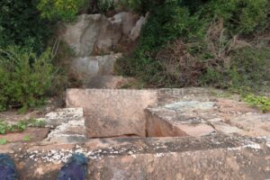R1 - Torrent de Solieia de l'Ullà- Barrancs Els Sots Feréstecs de Montmany - Montmany-Figaró - RocJumper