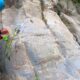 090 Barranc Sant Aniol Sadernes Rocjumper