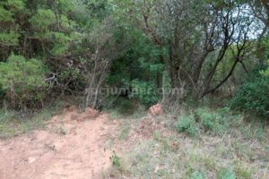 Inicio - Torrent de Solieia de l'Ullà- Barrancs Els Sots Feréstecs de Montmany - Montmany-Figaró - RocJumper