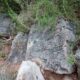 101 Barranc Sots Ferestecs Montmany Rocjumper