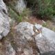 103 Barranc Sots Ferestecs Montmany Rocjumper