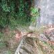 108 Barranc Sots Ferestecs Montmany Rocjumper