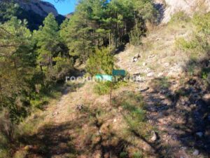 Bifurcación - Barranc del Bosc de Serradell - RocJumper