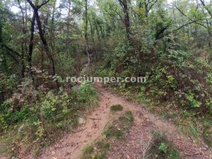Sendero aproximación - Barranc Riera de Bellús - Avià - RocJumper