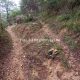 010 Barranc Bellus Avia Rocjumper