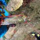 011 Torrent Cavorques Integral Sant Privat Bas Rocjumper
