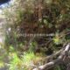 013 Barranc Riquerna Integral Capdella Rocjumper