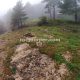015 Barranc Bellus Avia Rocjumper