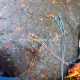 017 Torrent Cavorques Integral Sant Privat Bas Rocjumper