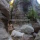 022 Barranc Bosc Serradell RocjumperIMG 20241004 17211