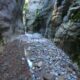 023 Barranc Bosc Serradell RocjumperIMG 20241004 17234