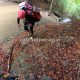 024 Torrent Cavorques Integral Sant Privat Bas Rocjumper