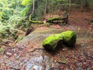 Resalte - Torrrent de les Cavorques Integral - Sant Privat d'en Bas - RocJumper