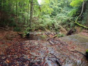 Pista - Torrrent de les Cavorques Integral - Sant Privat d'en Bas - RocJumper