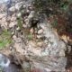 030 Barranc Bosc Serradell RocjumperIMG 20241004 17312