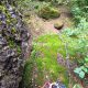 038 Barranc Bellus Avia Rocjumper