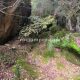 039 Barranc Bellus Avia Rocjumper