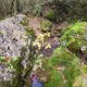 040 Barranc Bellus Avia Rocjumper