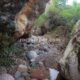 042 Barranc Bosc Serradell RocjumperIMG 20241004 18145