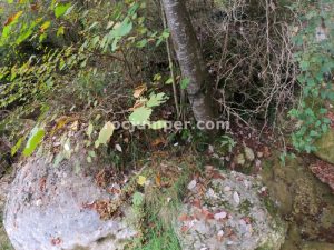 R10 - Barranc de la Riera de Clarà - Avià - RocJumper